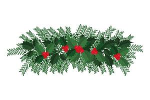 mistletoe branch nature vector