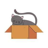 cat in the box vector