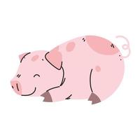 pet cute pig vector