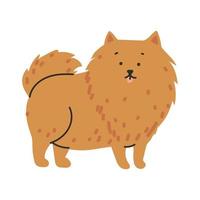 fluffy dog pet vector