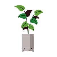 houseplant pot decoration vector