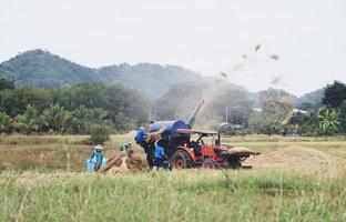 farmer harvest agricultural produce in the rice field Asian, milled rice and paddy seed on farm field with tractor cultivating crops processing of rice mills. photo