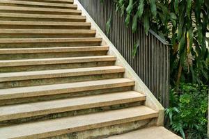 stair step with tropical tree photo