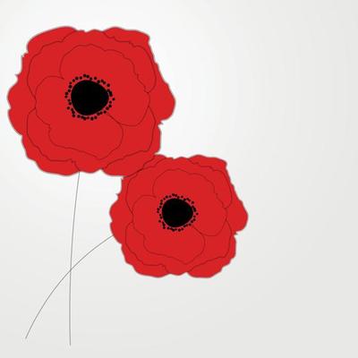 Red Poppies Flower Background Vector Illustration