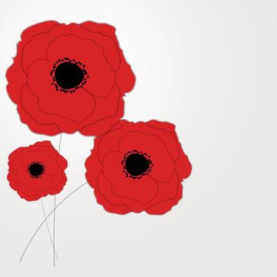Red Poppies Flower Background Vector Illustration
