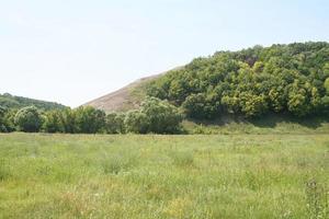 Rural landscape. Field and forest photo