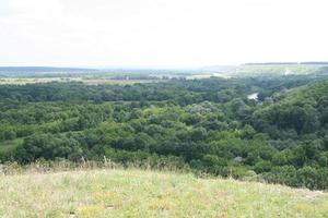 Rural landscape. Field and forest photo