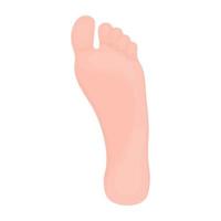 Trendy  Foot Concepts vector