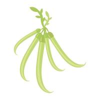 Green Chilli Concepts vector