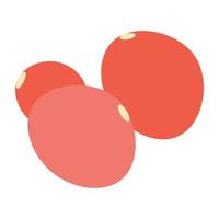 Pomegranate Seeds Concepts vector