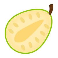 Half Avocado Concepts vector