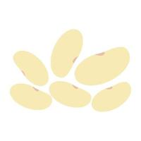 White Beans Concepts vector