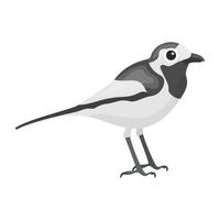 Trendy Sparrow Concepts vector