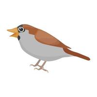 Gauraiya Sparrow Concepts vector