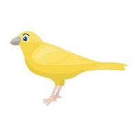 Trendy Canary Concepts vector