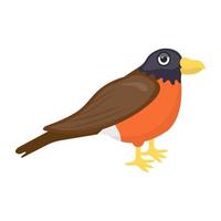 Eurasian Finch Concepts vector