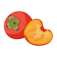 Trendy Persimmons Concepts vector