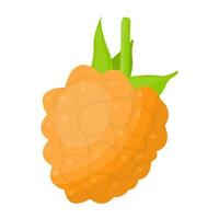 Trendy Salmonberries Concepts vector