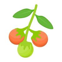 Sea Buckthorn Concepts vector