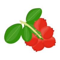 Trendy Lingonberry Concepts vector