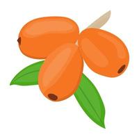 Goji Berries Concepts vector