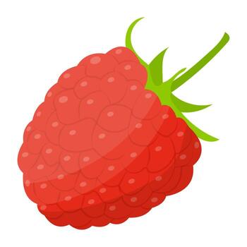Trendy Raspberry Concepts vector