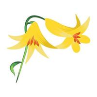 Lemon Lily Concepts vector