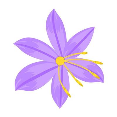 Dahlia Flower Concepts