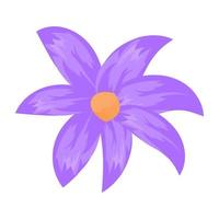 Aster Flower Concepts vector