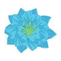 Puschkinia Flower Concepts vector