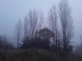 Morning fog in the countryside photo