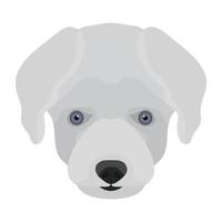 Maltese Dog Concepts vector