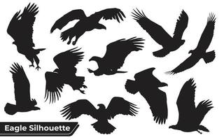 Collection of bird eagle silhouettes in different positions vector