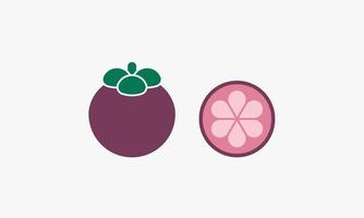 clice mangosteen fruit graphic design illustration. vector