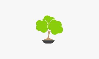 vector de diseño de logotipo de bonsai de árbol. Ilustración del concepto verde.