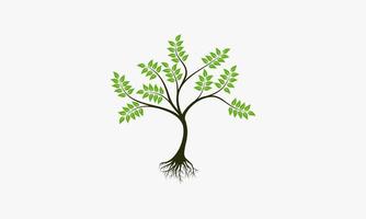 Ilustración de vector de raíces de árbol de naturaleza sobre fondo blanco. icono creativo.