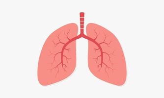 organs human lung. breathing vector illustration.