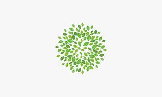 green foliage leaf design vector illustration.