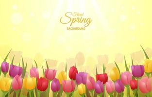 Fresh Spring Floral Background vector