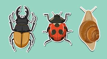 Top view of beetle and ladybug and snail vector