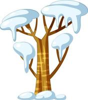 Snow covered tree on white background vector