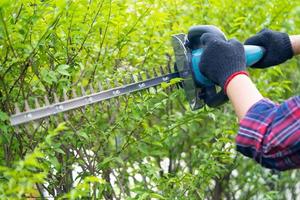 Gardener holding electric hedge trimmer to cut the treetop in garden. photo