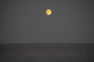 Yellow moon over the ocean at night photo