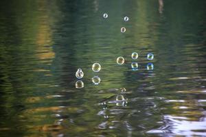 Colorful bubbles floating on top of a pond photo
