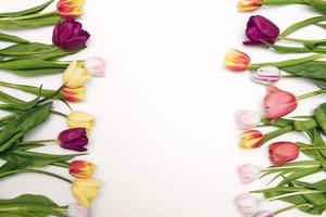 Floral background with copy space. Flat-lay frame of tulips. Womens day, mothers day greeting card