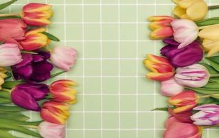 Floral background with copy space. Flat-lay frame of tulips. Womens day, mothers day greeting card photo