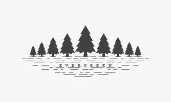 evergreen vector illustration on white background.