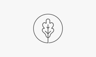 leaf oak circle vector illustration on white background. creative icon.