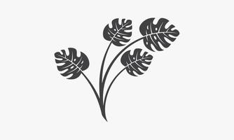 monstera leaf plant vector illustration on white background.