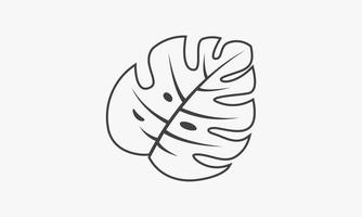 icono de línea hoja de monstera aislada sobre fondo blanco. vector